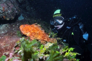  Esplorazione dei fondali marini 